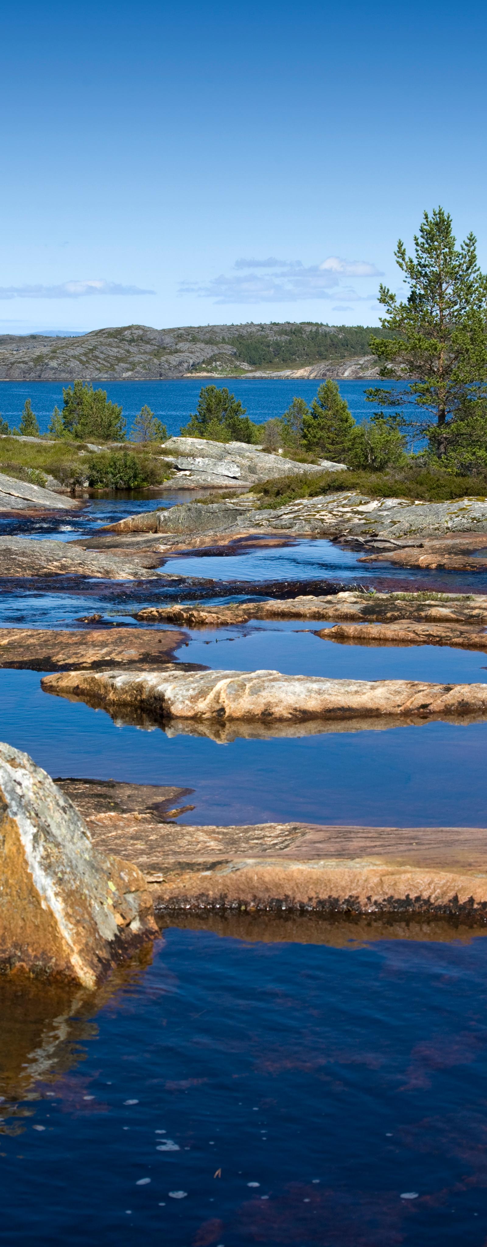 Richmond’s Best Outdoor Pools and Rock Pools for the Perfect Lap Swim